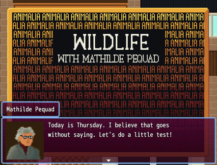 Screenshot z Buy Hyacinths