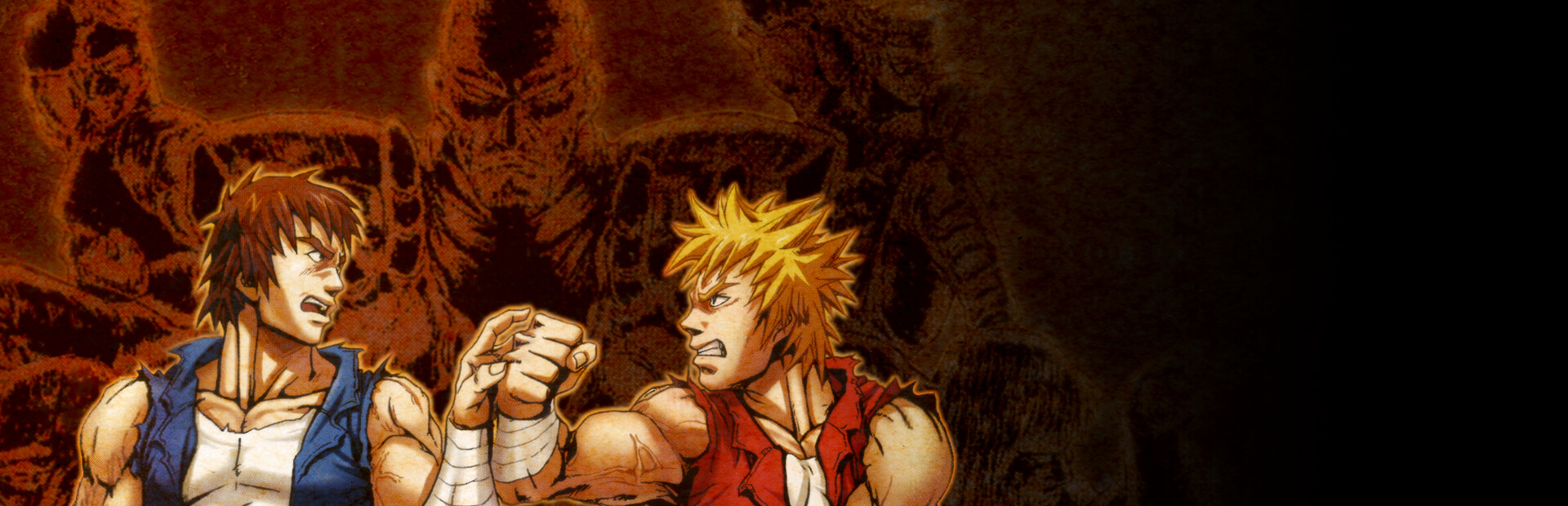 Double Dragon Advance
