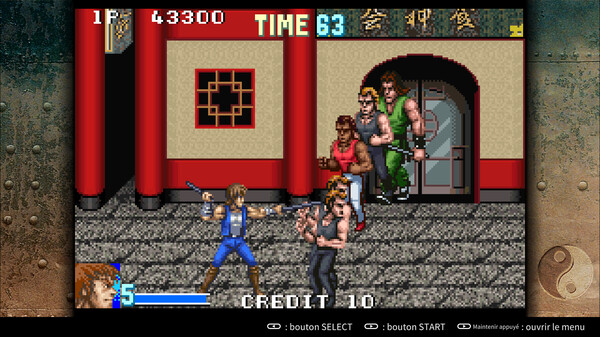 Capture d'écran 5 de Double Dragon Advance