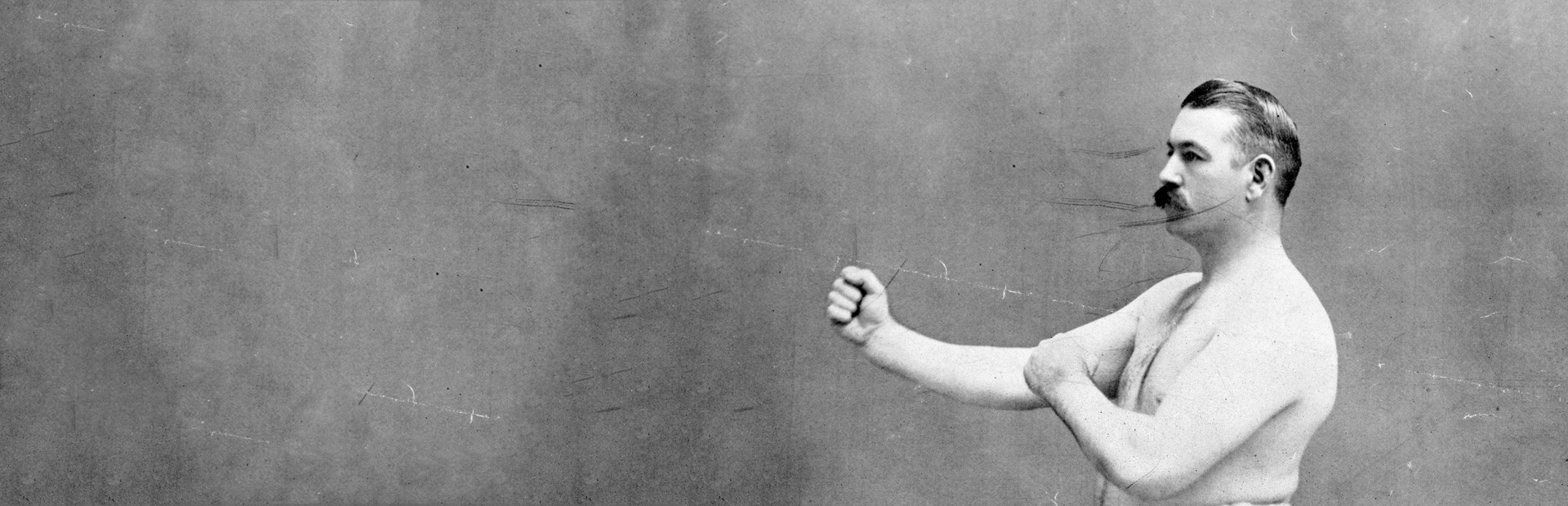 BVOVB - Bruising Vengeance of the Vintage Boxer