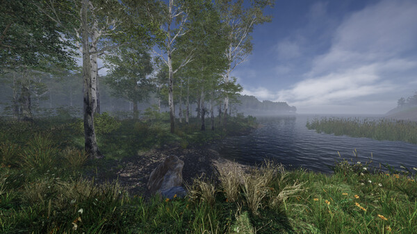 Thumbnail 14