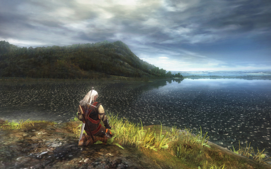 The Witcher: Enhanced Edition Director's Cut
