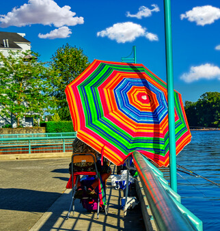 Master of Pieces © Jigsaw Puzzles: Summer Time DLC