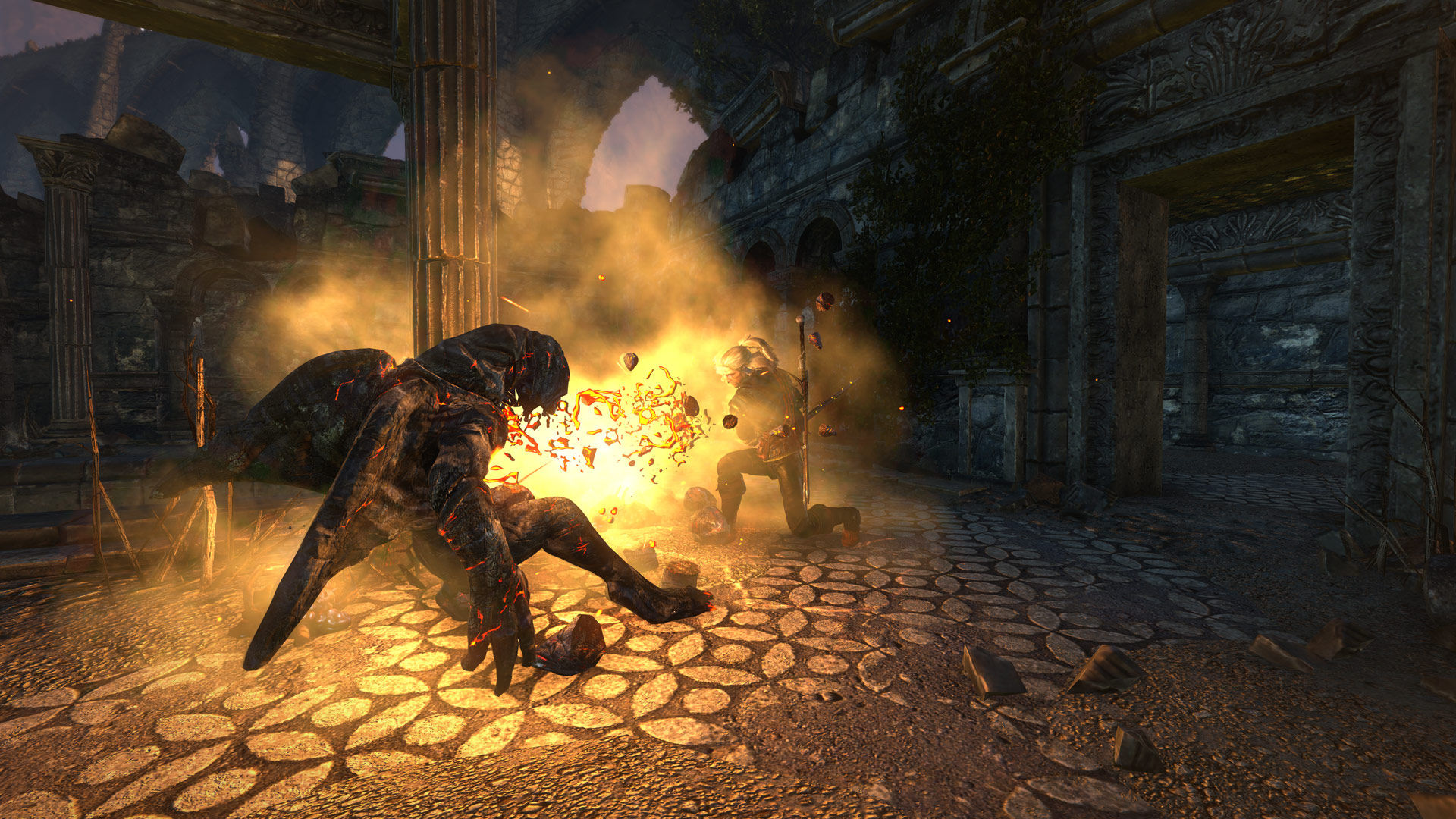 screenshot of The Witcher 2: Assassins of Kings Enhanced Edition 17