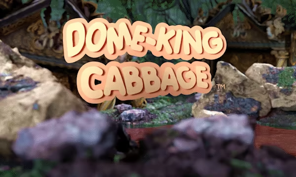 Dome-King Cabbage video 1