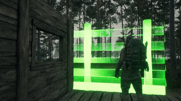 Thumbnail 13