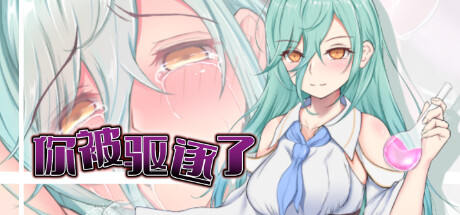 你被驱逐了。 封面