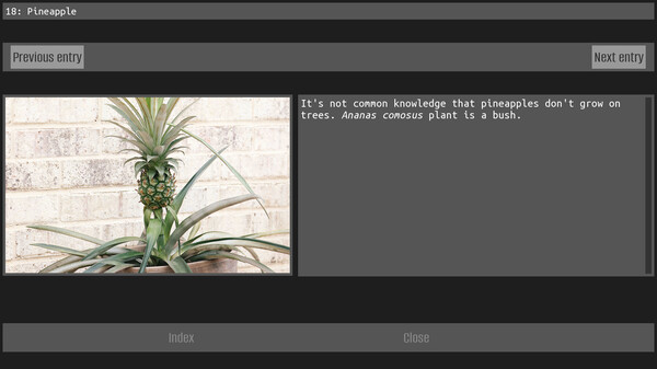 No men in this house screenshot 6