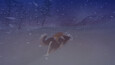 Screenshot #8