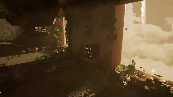 FINIS video 2