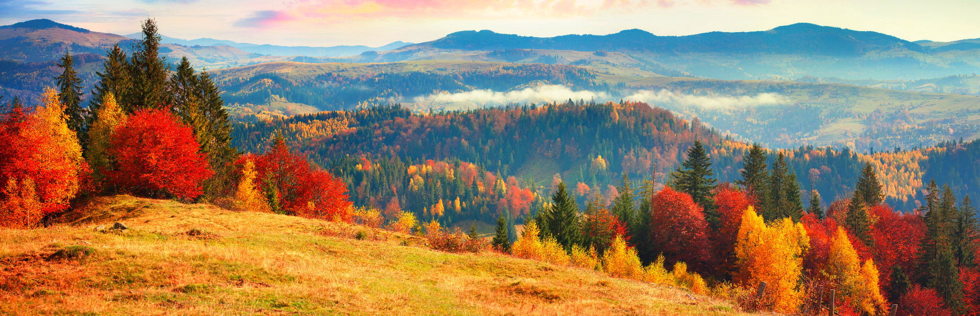 Nature & Wildlife - Jigsaw Puzzle