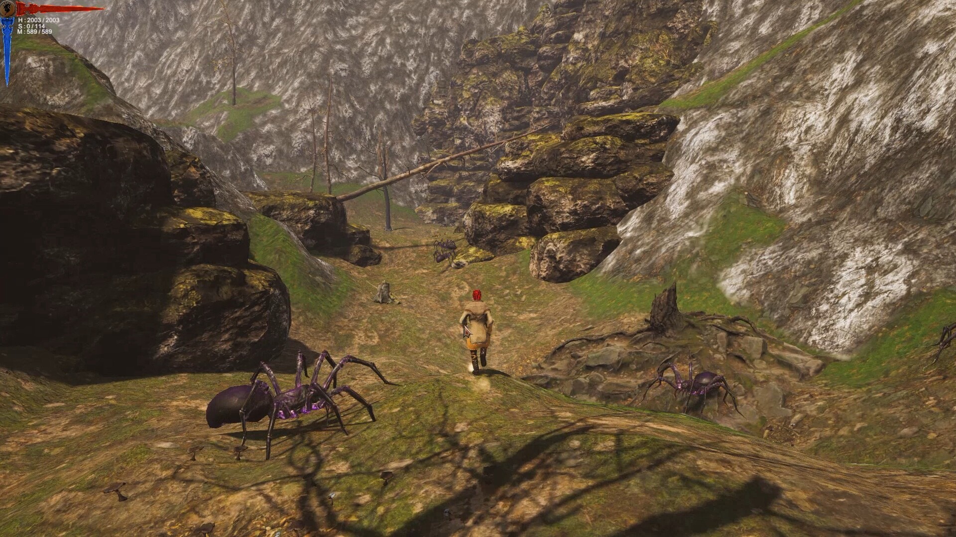 Scorphius