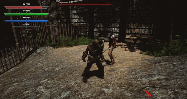 Soulsland: Last Fight.