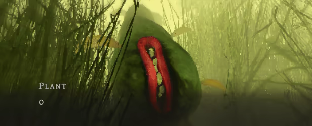 The Hungry Fly video 6