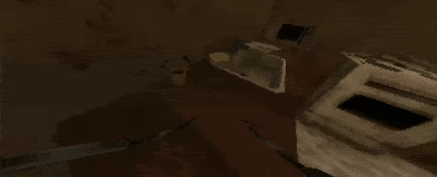 The Hungry Fly video 2
