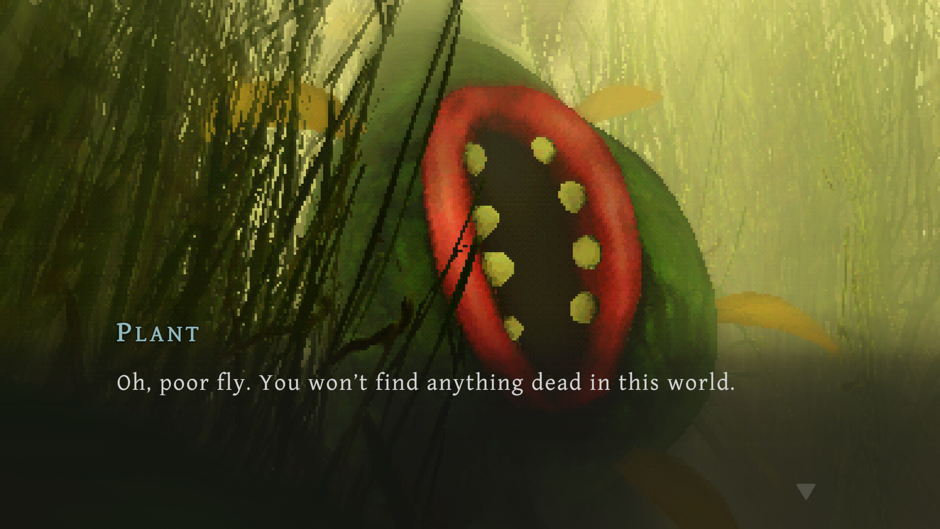 The Hungry Fly — official gameplay screenshot 6