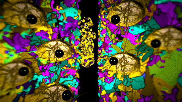 screenshot7