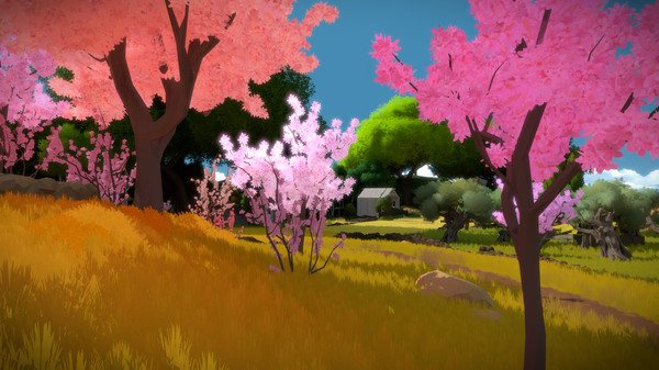 The Witness screenshot