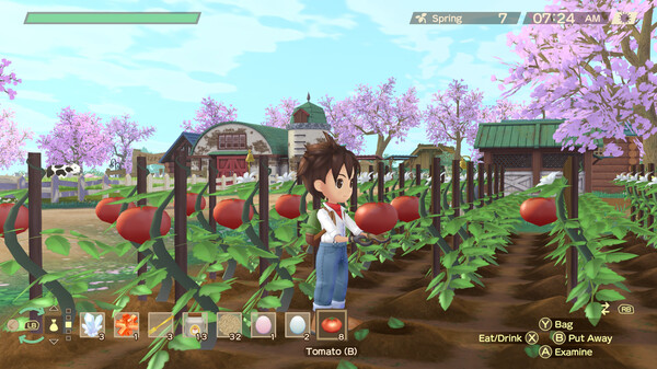 Screenshot z STORY OF SEASONS: A Wonderful Life Screenshot z STORY OF SEASONS: A Wonderful Life