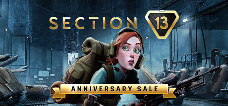 Section 13 banner image