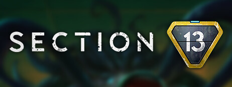Section 13 cover art