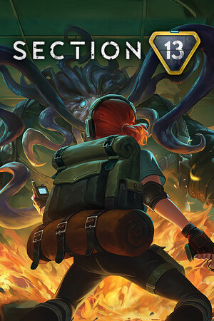 Section 13 cover art