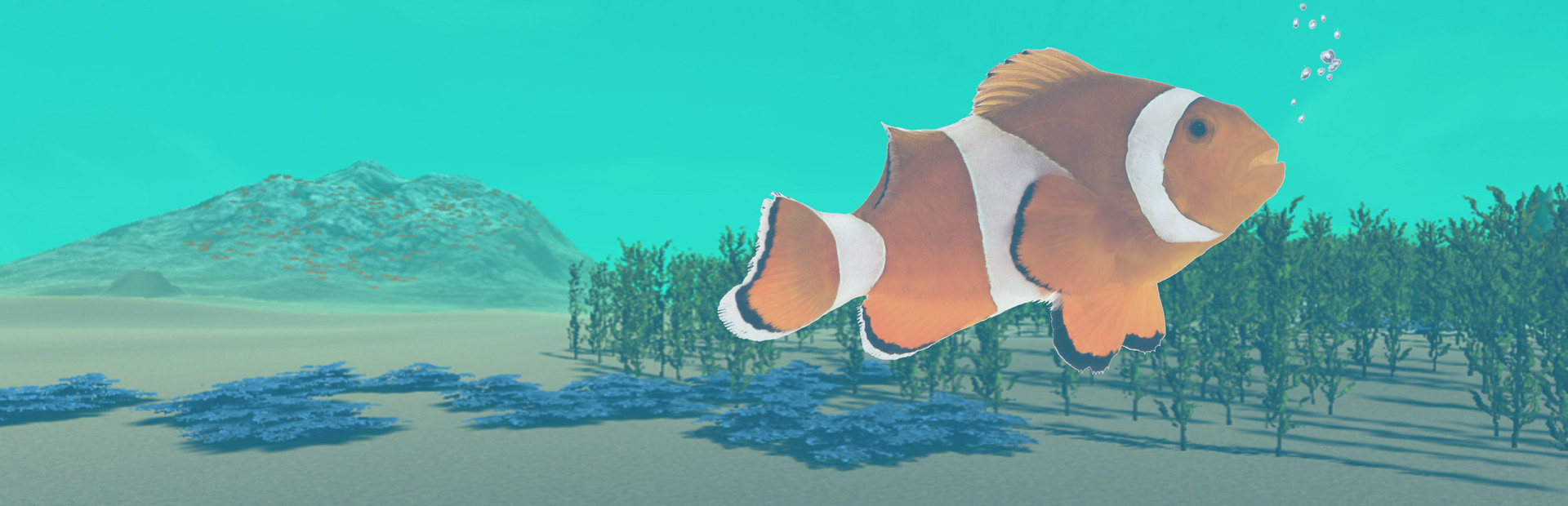 The Fish