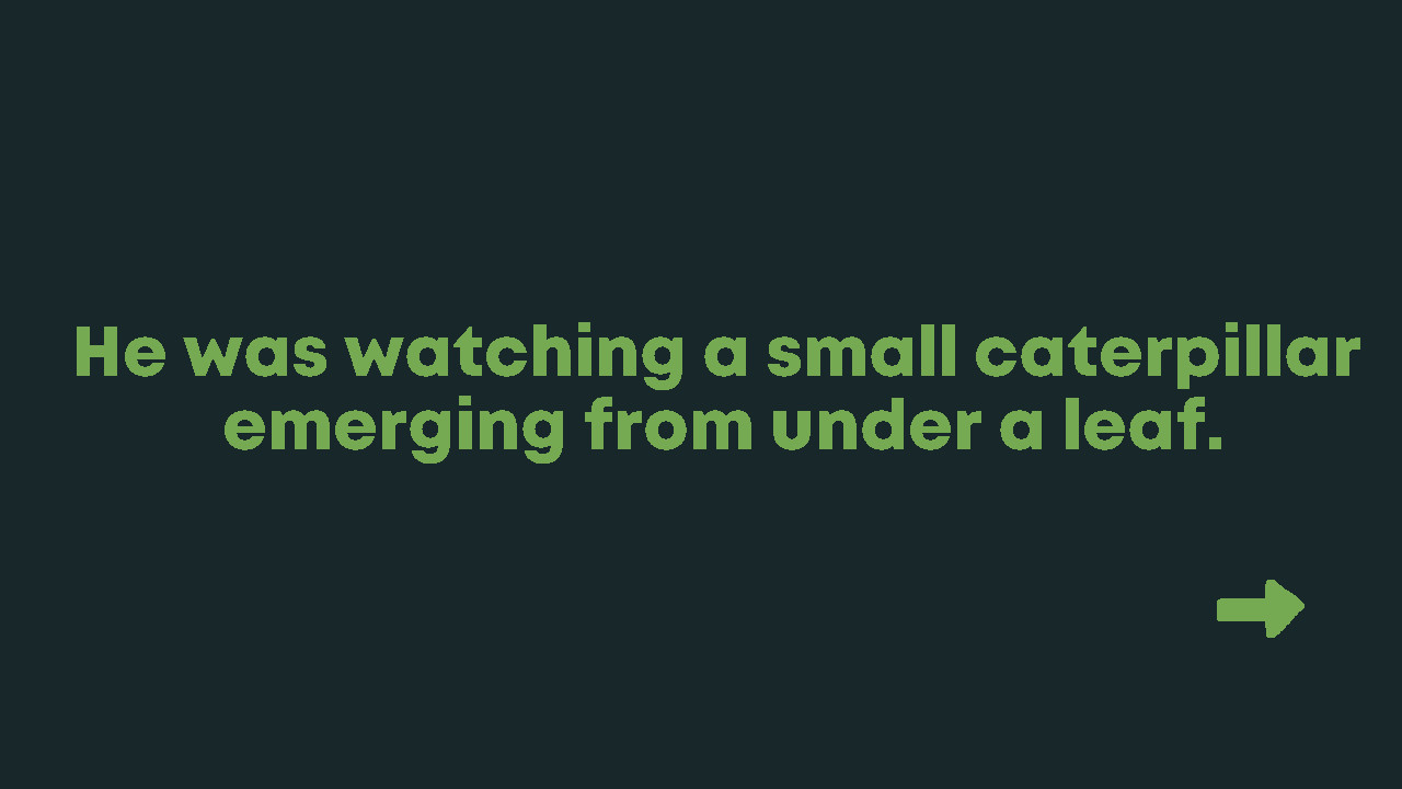 WordSearch Story: Samuel's Adventure screenshot #4