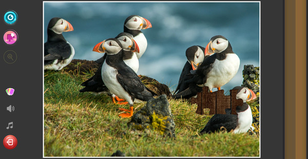 Nature & Wildlife - Jigsaw Puzzle - Expansion Pack 1