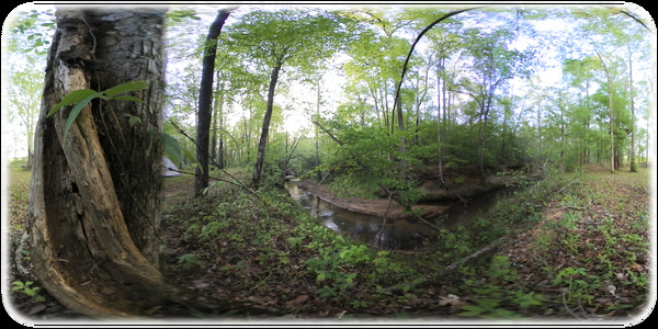 Exhale XR - Waters Flow