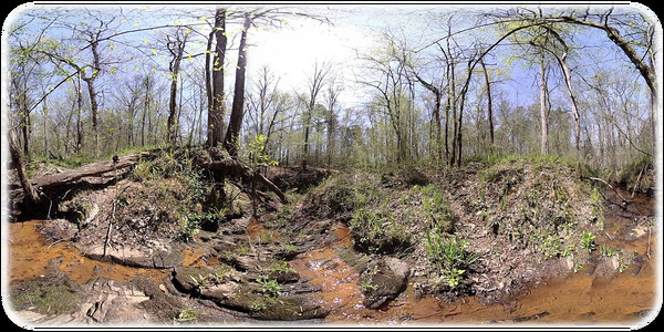 Exhale XR - Woodland Journey