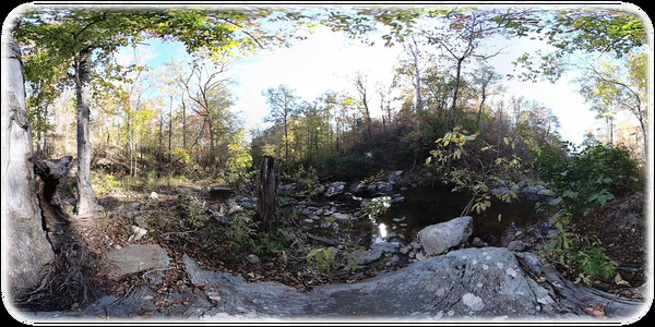 Exhale XR - Woodland Journey