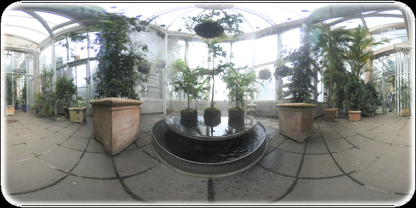 Exhale XR - Bugs Eye View
