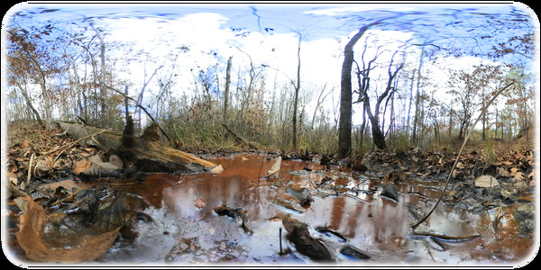 Exhale XR - Bugs Eye View