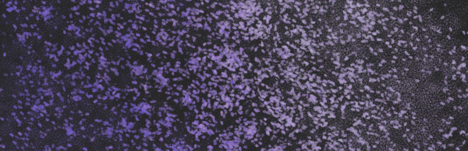 Gloomscape