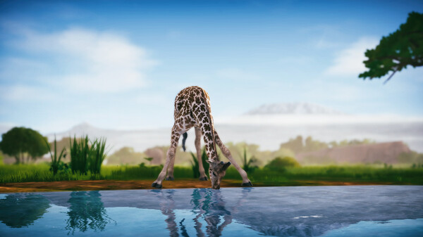 Seclusa Screenshot