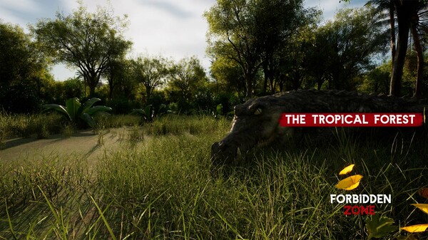 Screenshot z Forbidden zone