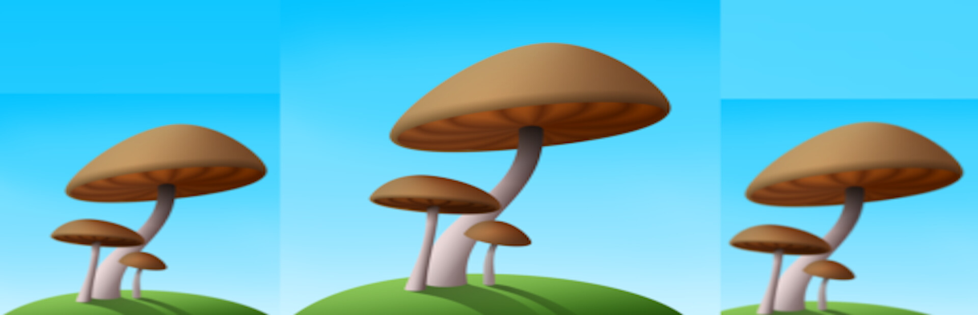 MushRun
