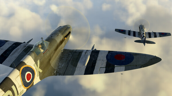 IL-2 Sturmovik: Spitfire Mk.XIV Collector Plane