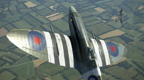 IL-2 Sturmovik: Spitfire Mk.XIV Collector Plane