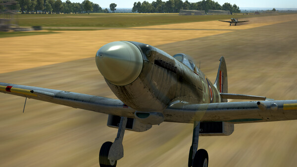 IL-2 Sturmovik: Spitfire Mk.XIV Collector Plane