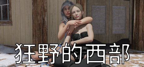 狂野的西部