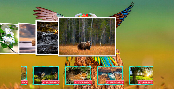 Nature & Wildlife - Jigsaw Puzzle - Expansion Pack 5