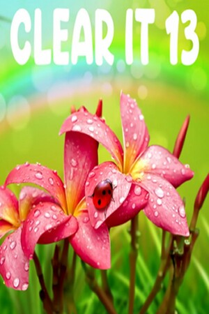 ClearIt 13 cover art