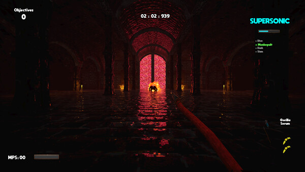 HYPER PRIMATE screenshot 1