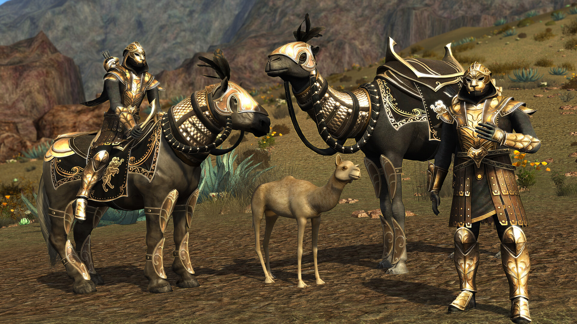 The Lord of the Rings Online™: Riders of Rohan™ Heroic Edition Live screenshot #1
