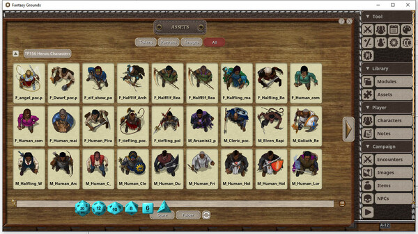 Fantasy Grounds - Devin Night Token Pack 156: Heroic Characters 31