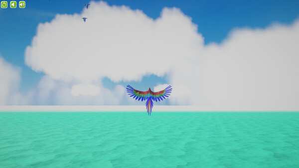 The Bird