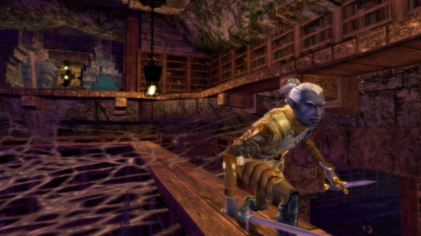 Dungeons & Dragons Online® Catacombs Starter Pack