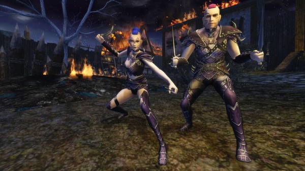 Dungeons & Dragons Online: Shadowfell Conspiracy Collector's Edition screenshot 5